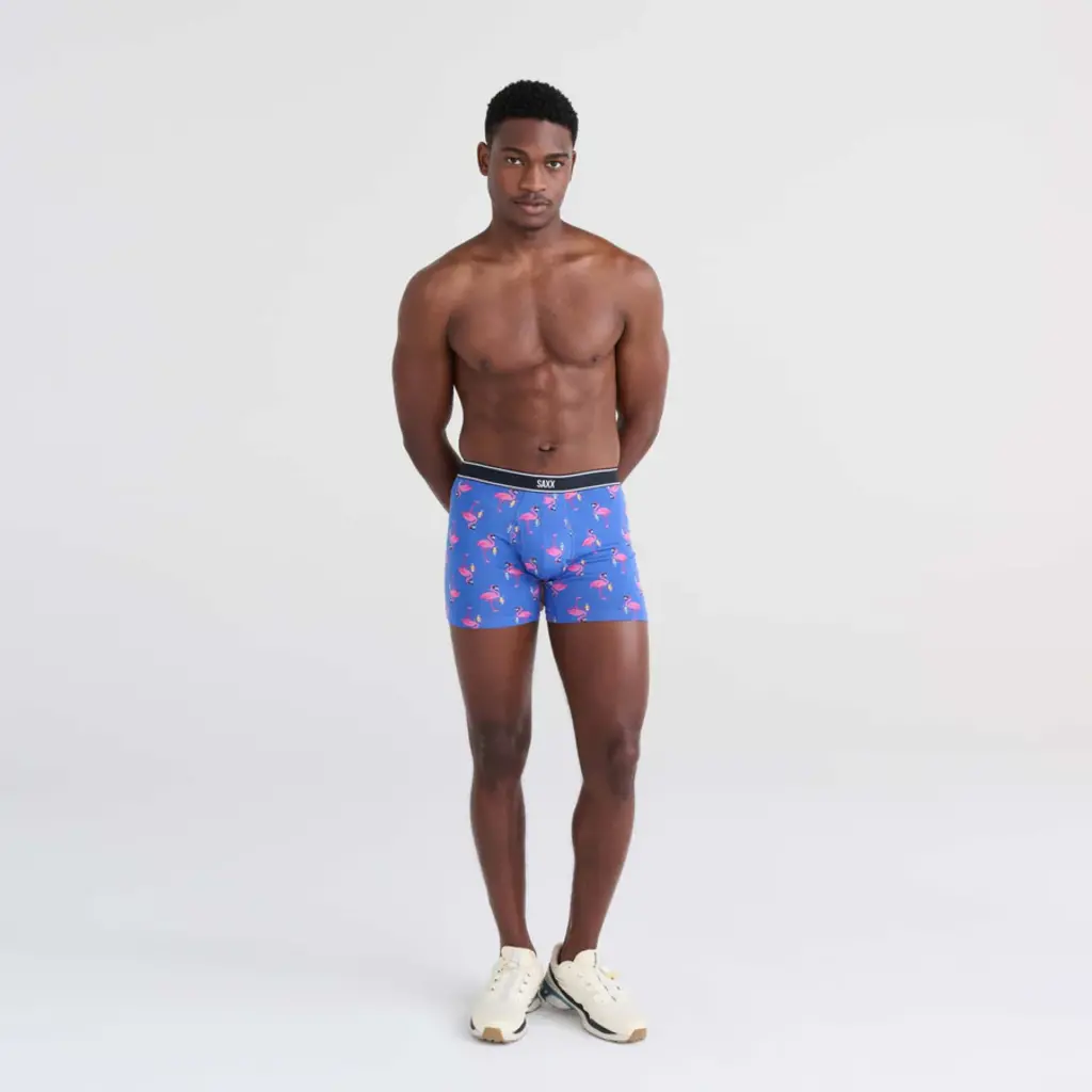Saxx Daytripper Boxer Brief 2 Pack