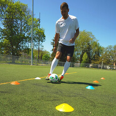 Eletto Disc Cone | Individual