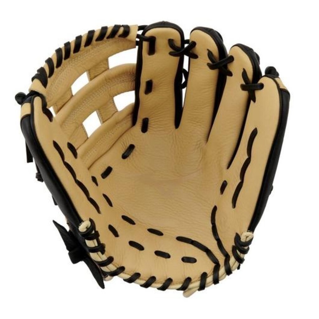 Mizuno Mizuno GFN1250B5 Franchise 12.5” Utility Baseball Glove – H Web, Full-Grain Leather