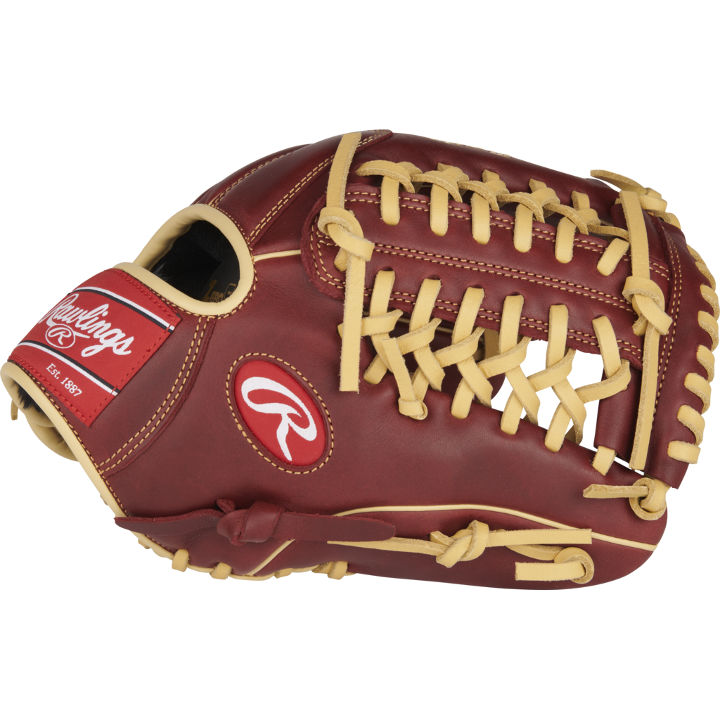 Rawlings RAWLINGS "SANDLOT" SERIES BASEBALL GLOVE
