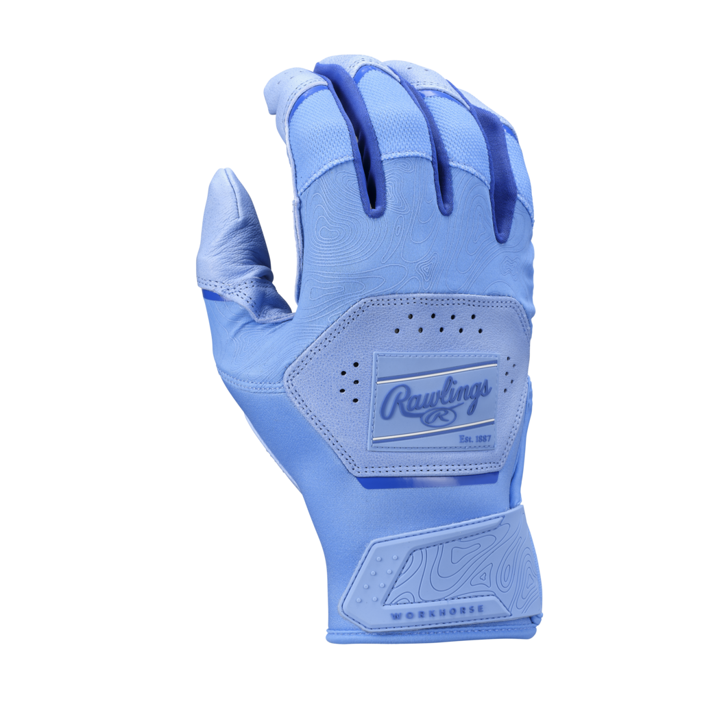 Rawlings RAWLINGS YOUTH WORKHORSE BATTING GLOVES
