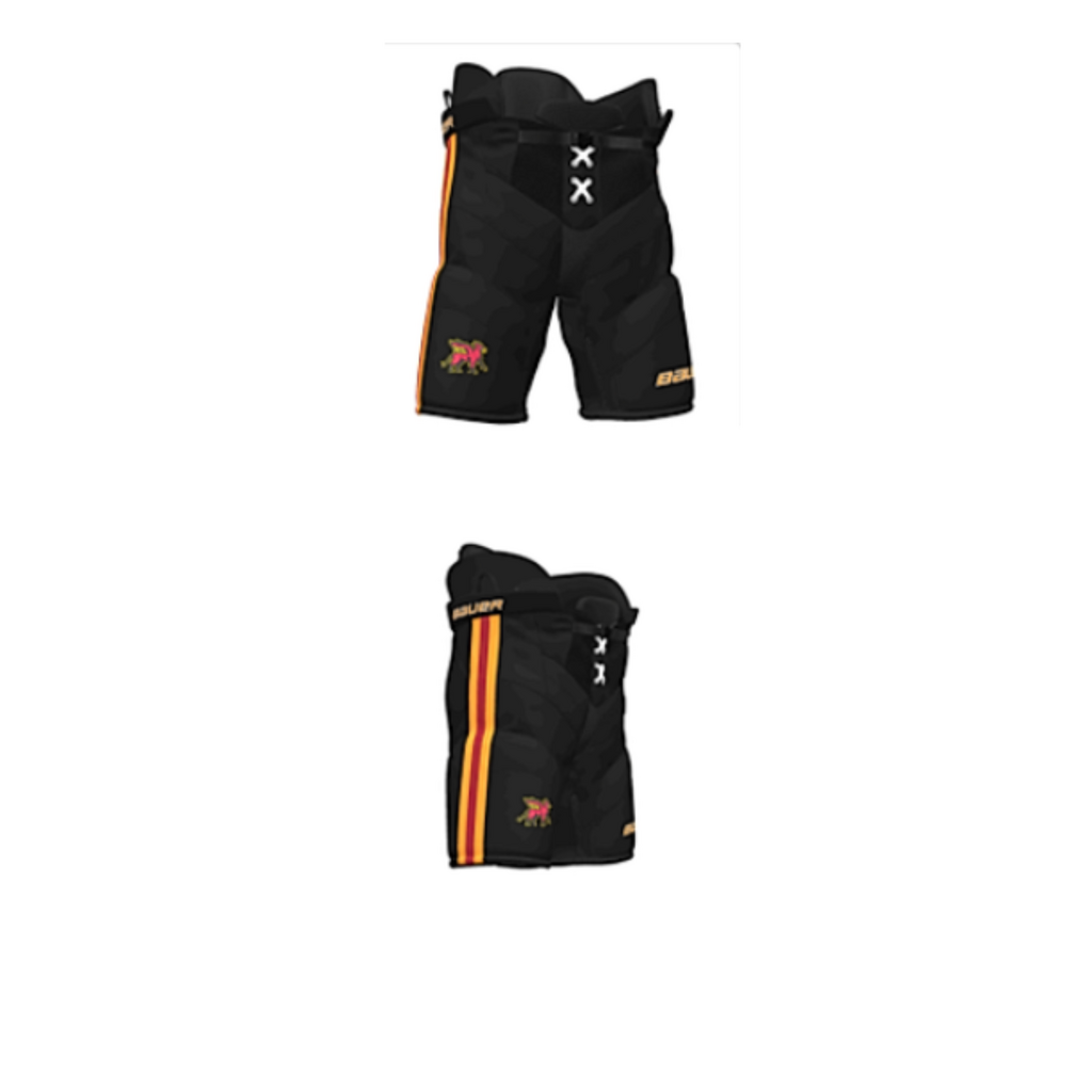 Bauer S26 BAUER SPEED PANT 2.0 CUSTOM-GRYPHONS-JR