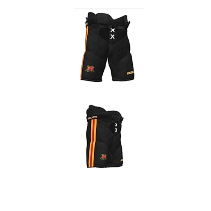 Bauer S26 BAUER SPEED PANT 2.0 CUSTOM-GRYPHONS-JR