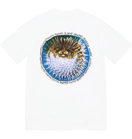 Supreme Supreme Blowfish Tee