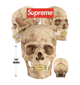 Supreme Supreme 4D Model Skull