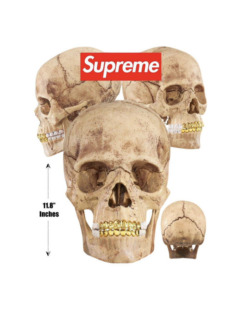 Supreme Supreme 4D Model Skull