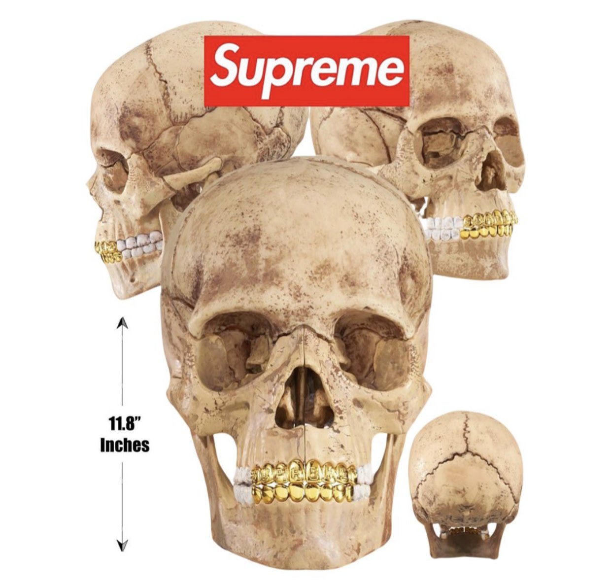 Supreme Supreme 4D Model Skull - Private Stock