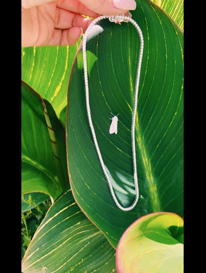Revelation 14KW 7CTW Graduated Tennis Necklace