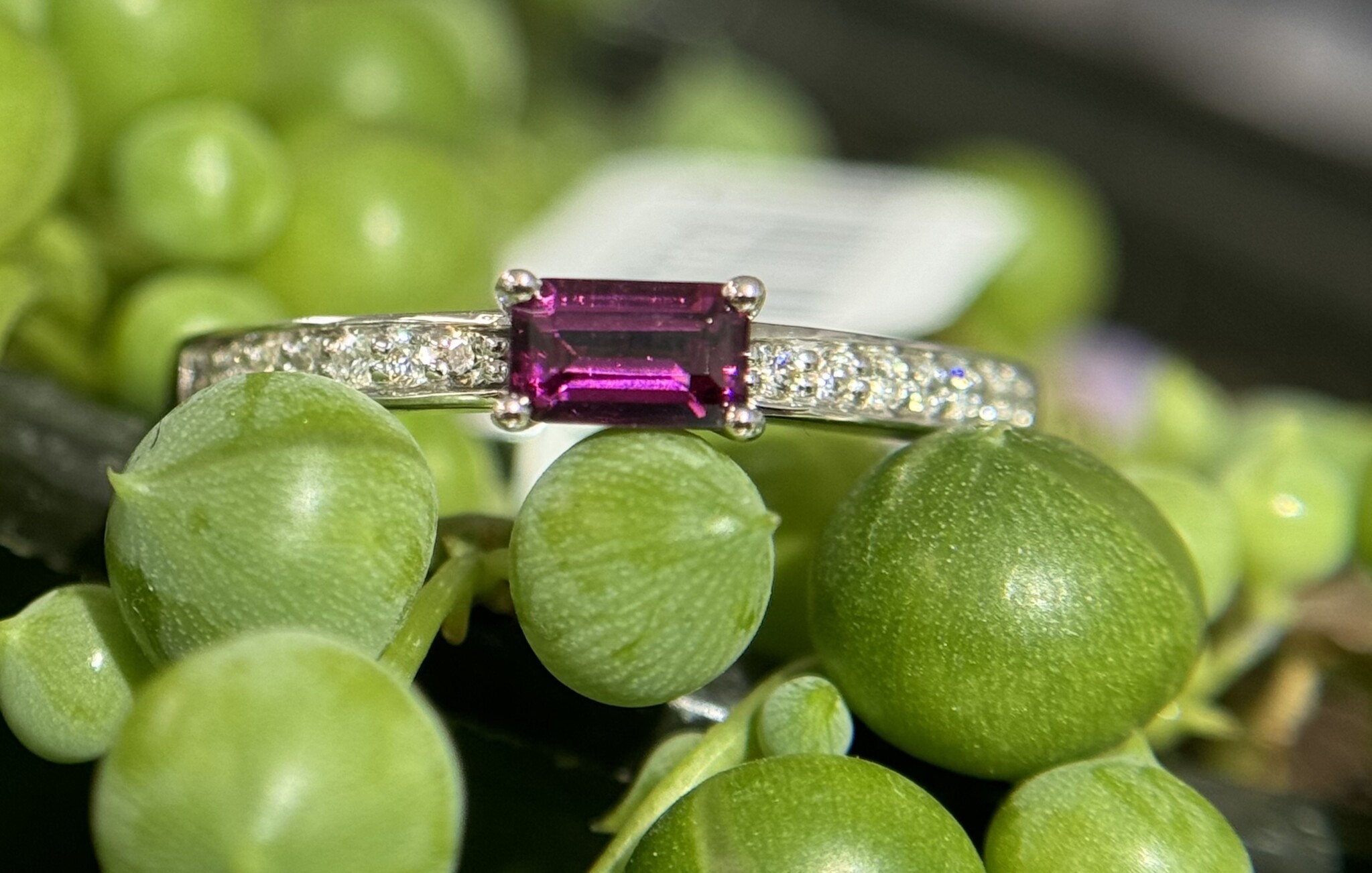 14KW Rubellite Fashion Ring