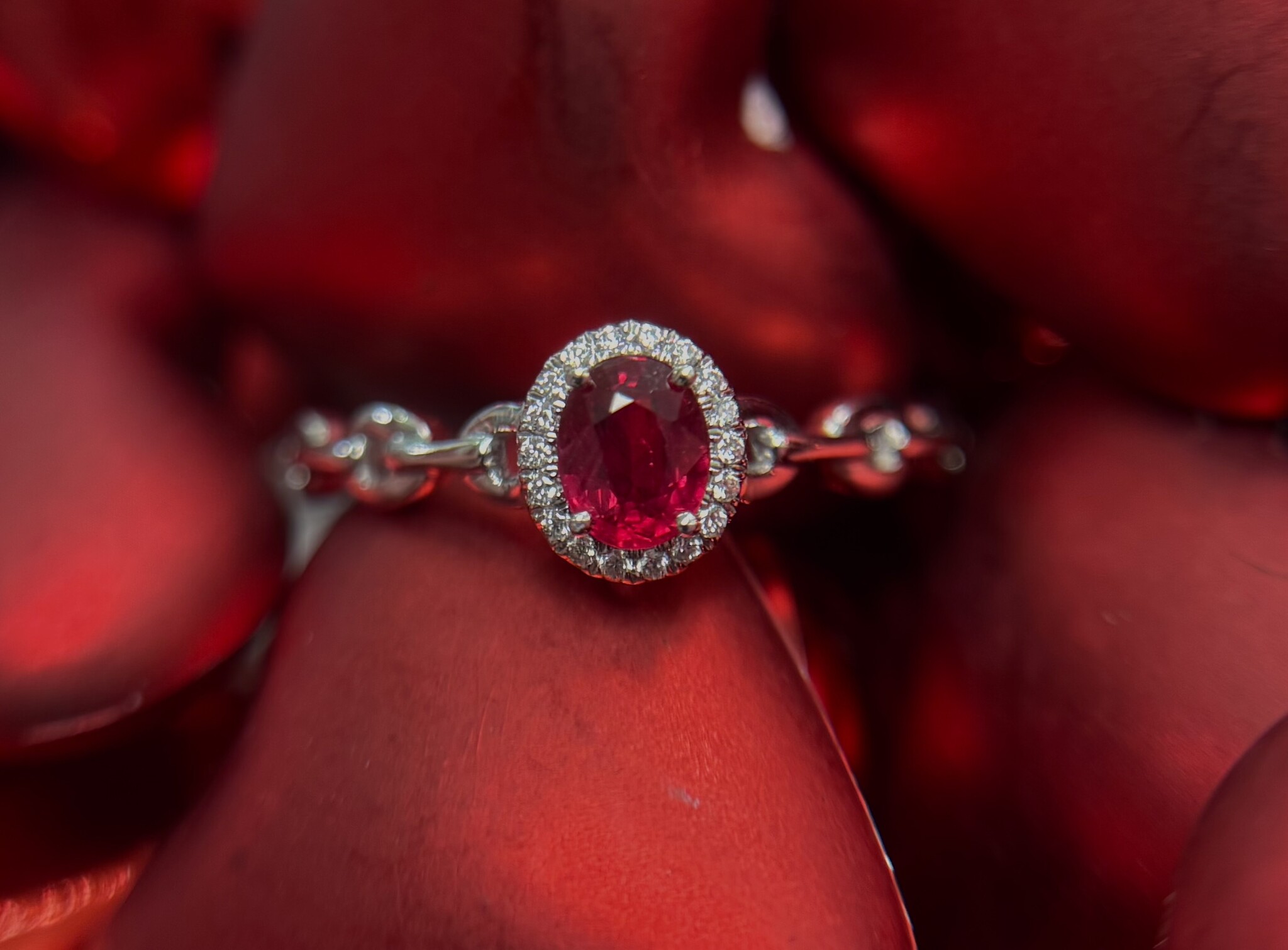 14KW Ruby Halo Ring