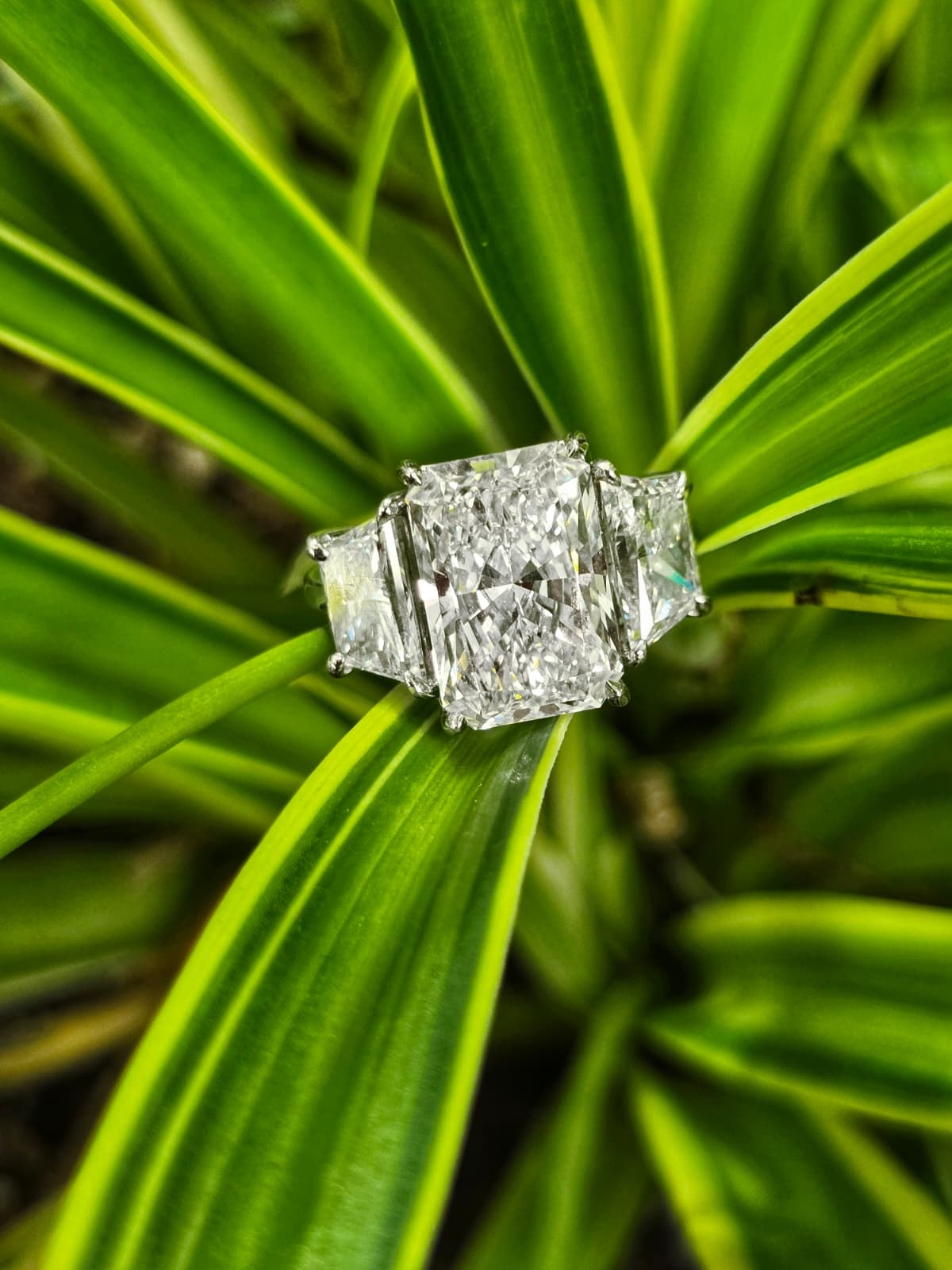 7.27tw 14KW LG Diamond Eng Ring 5.09 Center F VS2