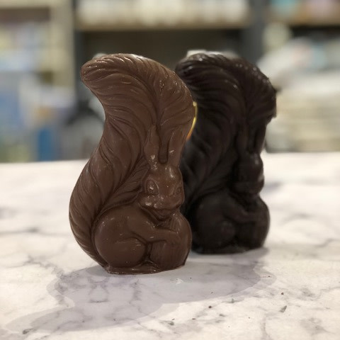 L'écureuil 100gr de chocolat noir