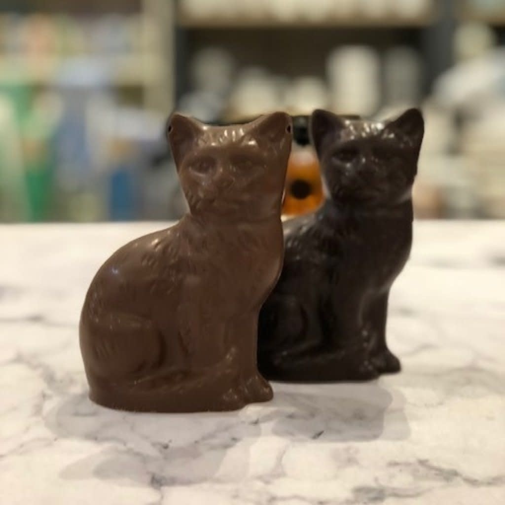 Amy le chat 100gr de chocolat noir