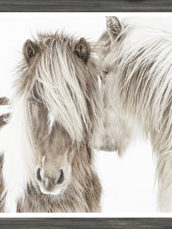Celadon Art Mod. Farm- Icelandic Ponies- Mini - Grey 18499