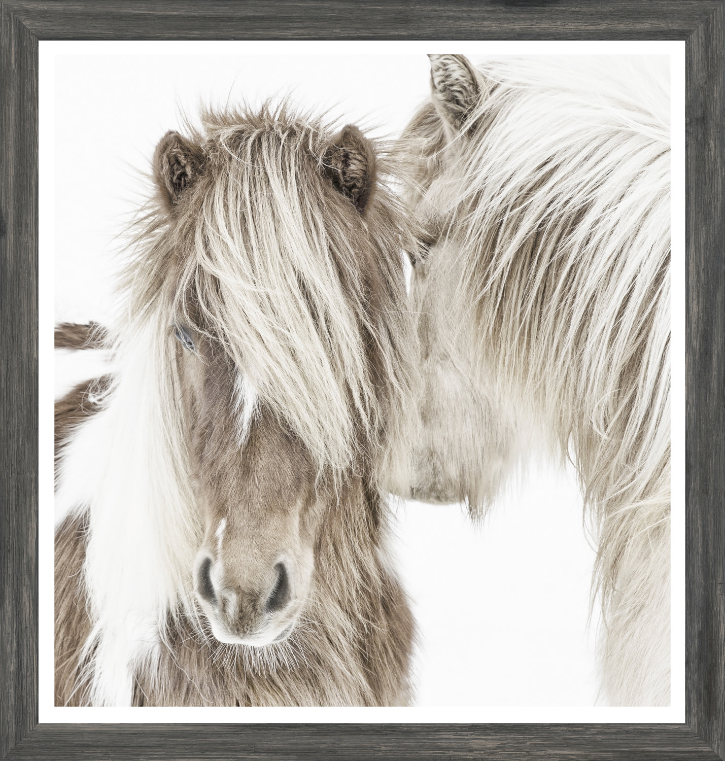 Mod. Farm- Icelandic Ponies- Mini - Grey 18499