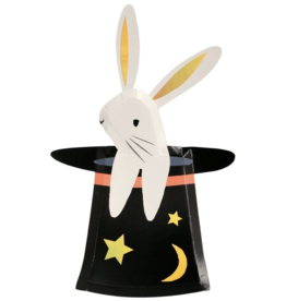 Bunny in Hat Shaped Plates