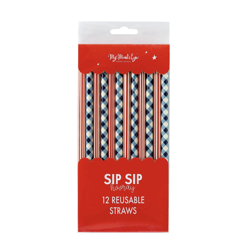 Plaid & Stripes Reusable Straws