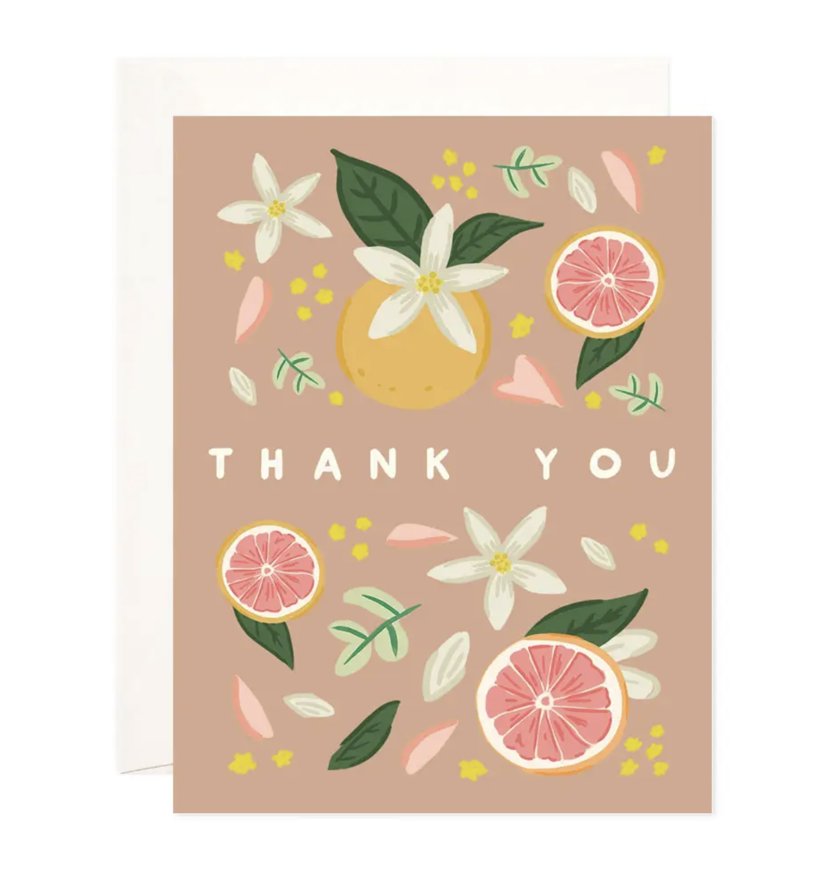 Boxed Citrus Thank You Cards Rock Paper Scissors