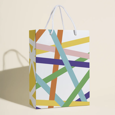 Silly Stripes Gift Bag