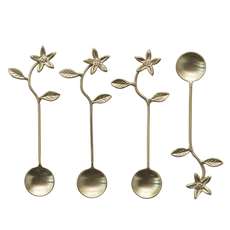 Stainless Steel & Brass Spoons
