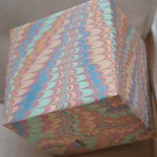 Scallops Mint Rose - Marbled Gift Wrap