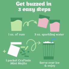 Mint Mojito Cocktail/Mocktail Mixer