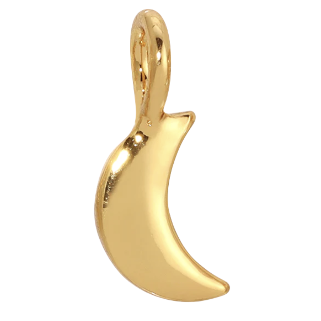 Charm Garden Gold Moon Charm