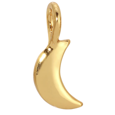 Charm Garden Gold Moon Charm