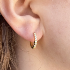 Brilliant Huggie Earring