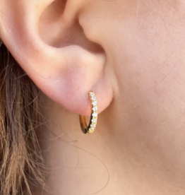 Brilliant Huggie Earring