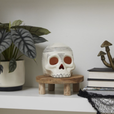 Occipital Skull Sculpture Candle Holder