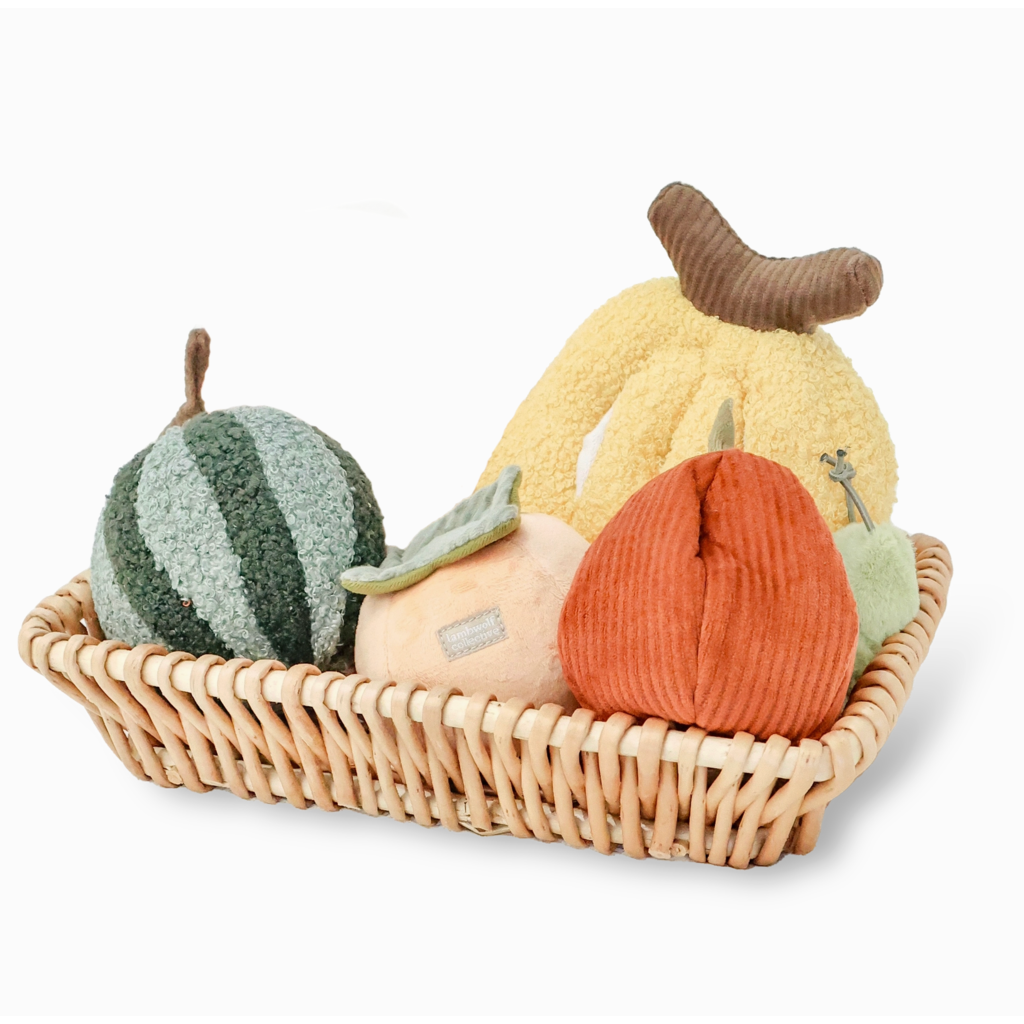 Fruit Set Snuffle Toy