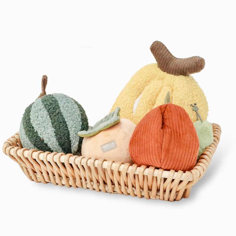Fruit Set Snuffle Toy