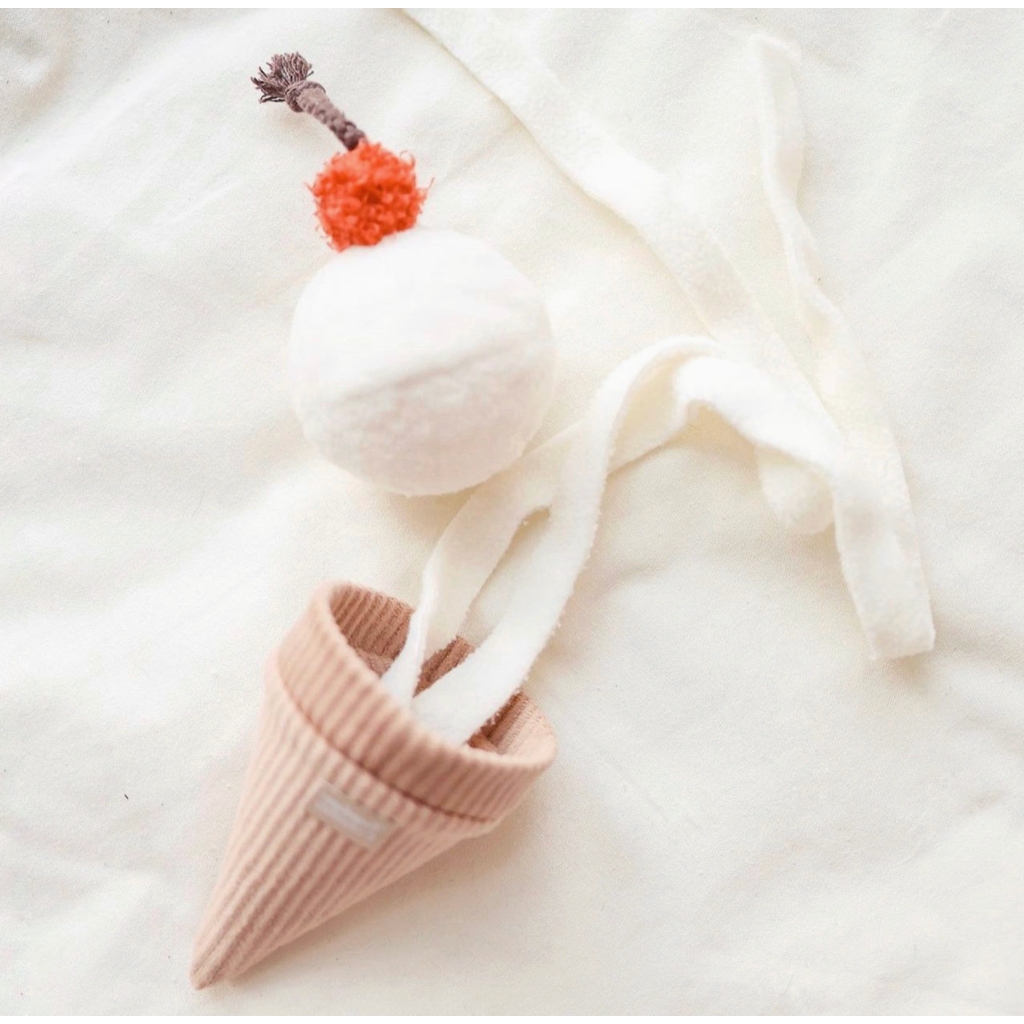 Ice Cream Pop Snuffle Toy