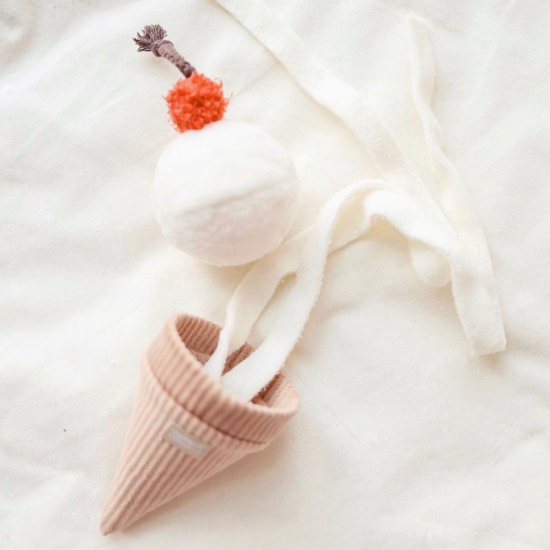 Ice Cream Pop Snuffle Dog Toy