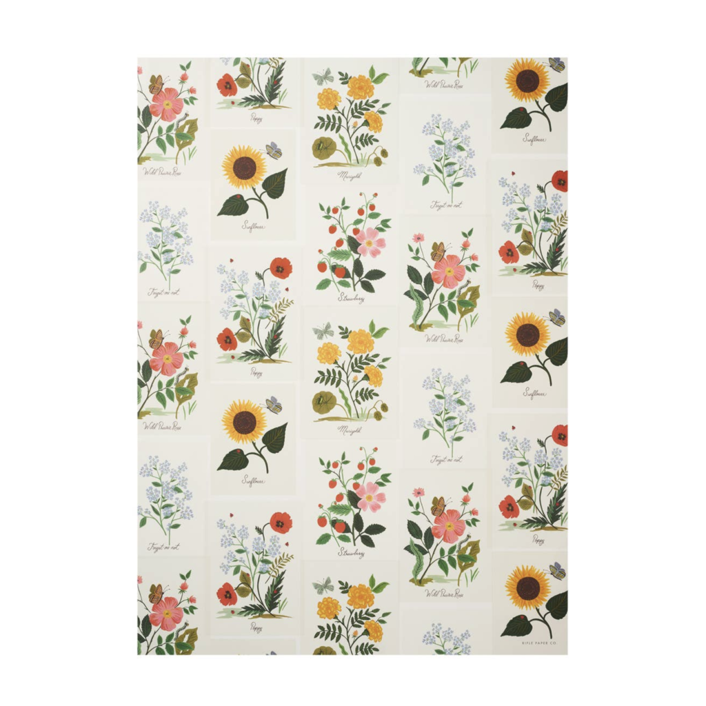 Botanical Wrapping Sheet (Roll of 3)
