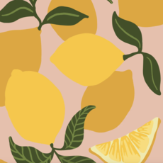 Be Zesty Paint By Numbers Kit