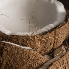 Linens & Surf - Smart Vial (Pura)