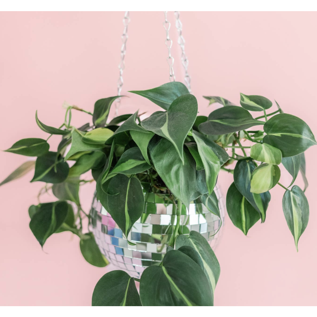 Disco Ball Hanging Planter