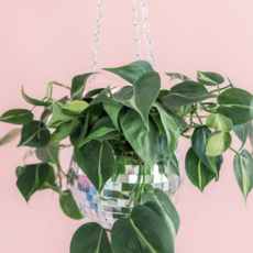 Disco Ball Hanging Planter