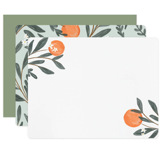 Orange Vine Flat Notes Boxed Set of 6