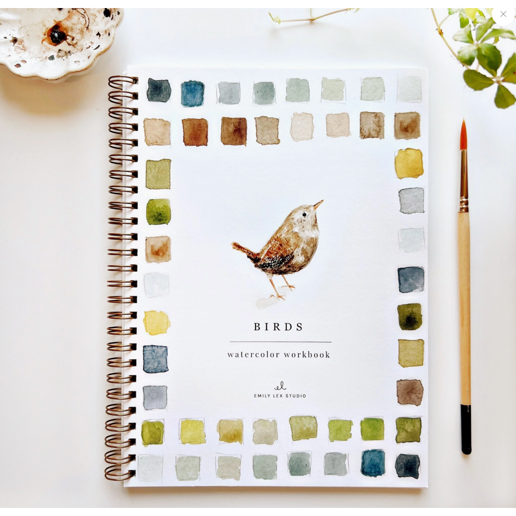 Birds Watercolor Workbook