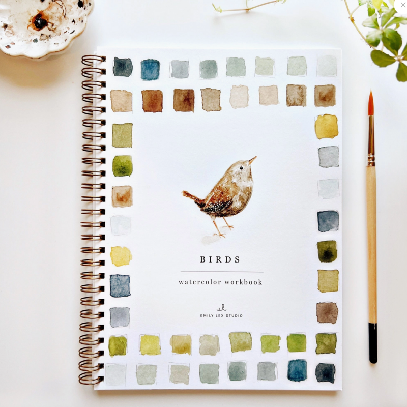 Birds Watercolor Workbook