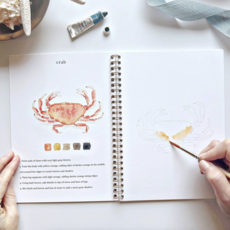 Seaside Watercolor Workbook