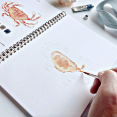 Seaside Watercolor Workbook