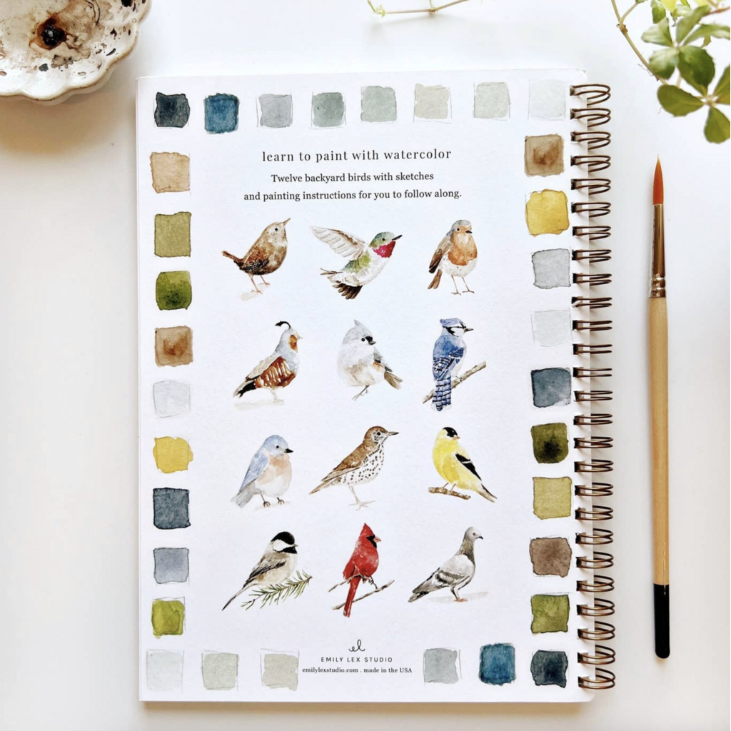 Birds Watercolor Workbook
