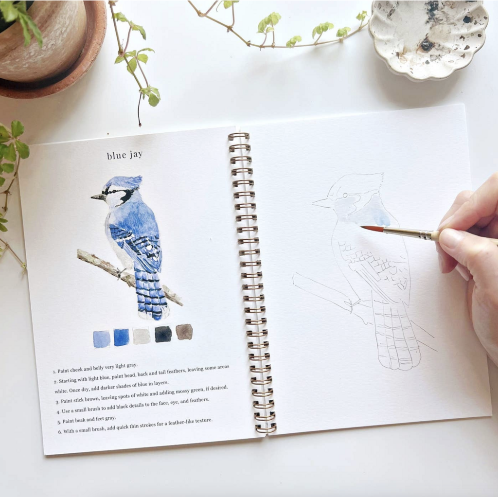 Birds Watercolor Workbook