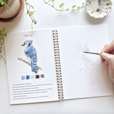 Birds Watercolor Workbook