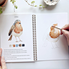 Birds Watercolor Workbook
