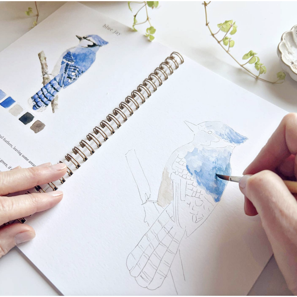Birds Watercolor Workbook
